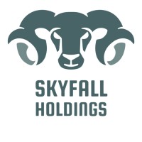 Skyfall Holdings (Pty) Ltd logo - Similar company to Bestauction