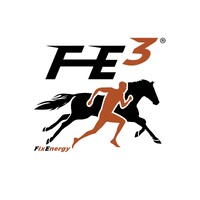 Fix Energy Deutschland GmbH logo - Similar company to Brizza Gmbh