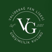 VFL Girişimcilik logo - Similar company to Rota Roket Takımı