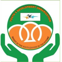 Youth 4 Development organization logo - Similar company to Children At Risk Action Network