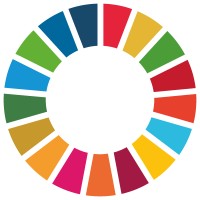 SDG to IDG logo - Similar company to The Other Perspective
