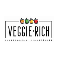 Veggie Rich logo - Similar company to Dankel Medical