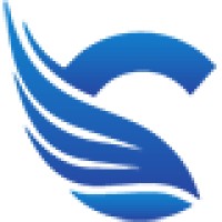 Classic IT logo - Similar company to Fly Far Tech