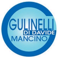 Gulinelli logo - Similar company to Data Logic