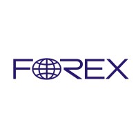 Forex Kft. logo - Similar company to Teamguide