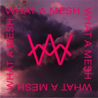 WHAT A MESH logo - Similar company to Campbelt S.A.