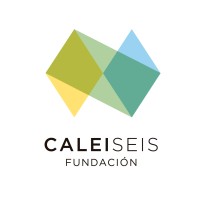 Fundación CaleiSeis logo - Similar company to Kübyte Labs