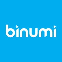 Binumi logo - Similar company to The Strategy Barn