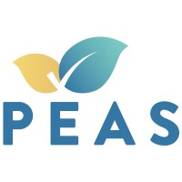 Professional Executive Associates Inc. logo - Similar company to Red Rose Technologies