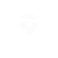VibeSec logo - Similar company to Antastic Technologies