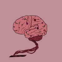 Petal Brain logo - Similar company to Hl Holding