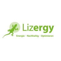 Lizergy GmbH logo - Similar company to My Next Classic