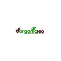 Organic SEO IT logo - Similar company to Techpapas