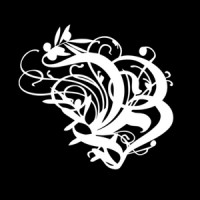Bracu Estate logo - Similar company to Body Corporate Administration Ltd