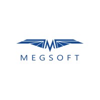 Megsoft logo - Similar company to Blueway