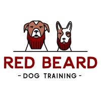 Red Beard Dog Training logo - Similar company to Hard Hat Digital