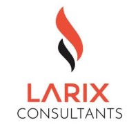 Larix Consultants logo - Similar company to Webitech