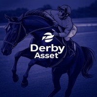 Derby Asset logo - Similar company to Nangianxt