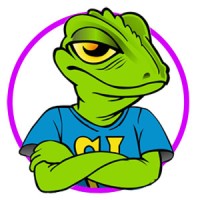 Shirt Lizard - Screen Printing & Embroidery - Charlotte, NC logo - Similar company to Ml Screen Printing