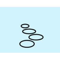 Stepping Stones Support Services WA logo - Similar company to Prism Physical Therapy