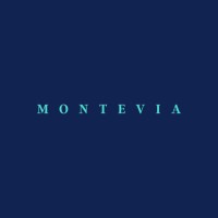 Montevia - IT Beratung logo - Similar company to Cave | Execution Hub