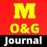 Mozambique Oil And Gas logo - Similar company to Grh - Consultoria E Desenvolvimento De Recursos Humanos