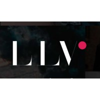 Luxe La Vie logo - Similar company to True Love Accessories