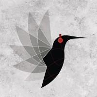 Blackera production logo - Similar company to A.T Design