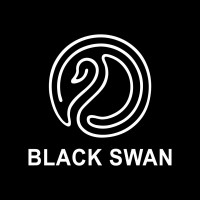 Black Swan logo - Similar company to Black Finance