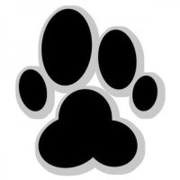 Alpha Pup Records logo - Similar company to Memory Lane Music Group