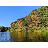 Spy Pond Advisors logo - Similar company to Goodlife Access