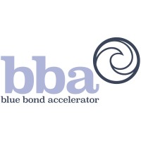 Blue Bond Accelerator logo - Similar company to Edge Case Defense
