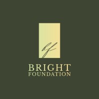 Bright asbl logo - Similar company to Brighter Horizon Foundation