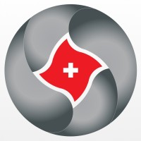 STSI Holding - Global Online Steel Trading logo - Similar company to Koddaert Nv
