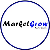 MarketGrow Junior-Expert logo - Similar company to Open Worldwide Transactions O.W.T