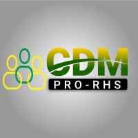 CDM PRO-RH SERVICES logo - Similar company to Dme Systems