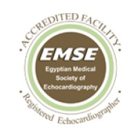 Egyptian Medical Society of Echocardiography logo - Similar company to International Conferences On Nature Science And Engineering Applications