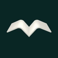 Ravineo logo - Similar company to Time Is Ltd.