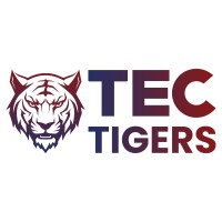 TecTigers logo - Similar company to Techtiger
