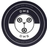 DWS Labs logo - Similar company to Reccelerate