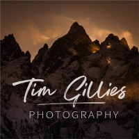 Tim Gillies Photography logo - Similar company to Tim Parkin (Coach To Marketing Directors)