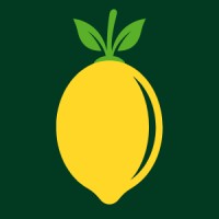 Lemon Digital Solutions logo - Similar company to Blonde Concepts: Digital Marketing & Design Studio