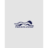 Transportadora Transleone logo - Similar company to Target Brasil Ltda