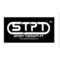 SportTherapyPt logo - Similar company to Kick-Kwondo