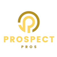 Prospect Pros logo - Similar company to Sales Lemon