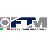 FTM SRL Unipersonale logo - Similar company to Lumii