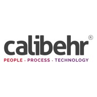 Calibehr Business Support Services Pvt. Ltd. logo - Similar company to Timad It Solutions