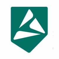 Instituto Alpha Lumen logo - Similar company to Root Security
