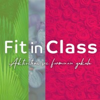 Fit in Class logo - Similar company to Academia Fitwork