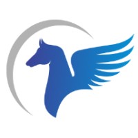 BURAK Metering Pvt Ltd logo - Similar company to Pv Digest By Pubhive